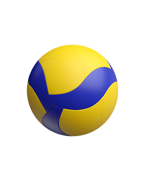 Image of a Volleyball